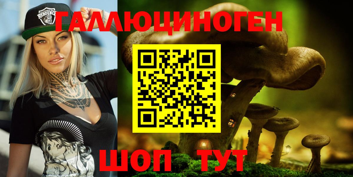 Узловая  Псилоцибиновые грибы MAGIC MUSHROOMS  Вход с VPN 